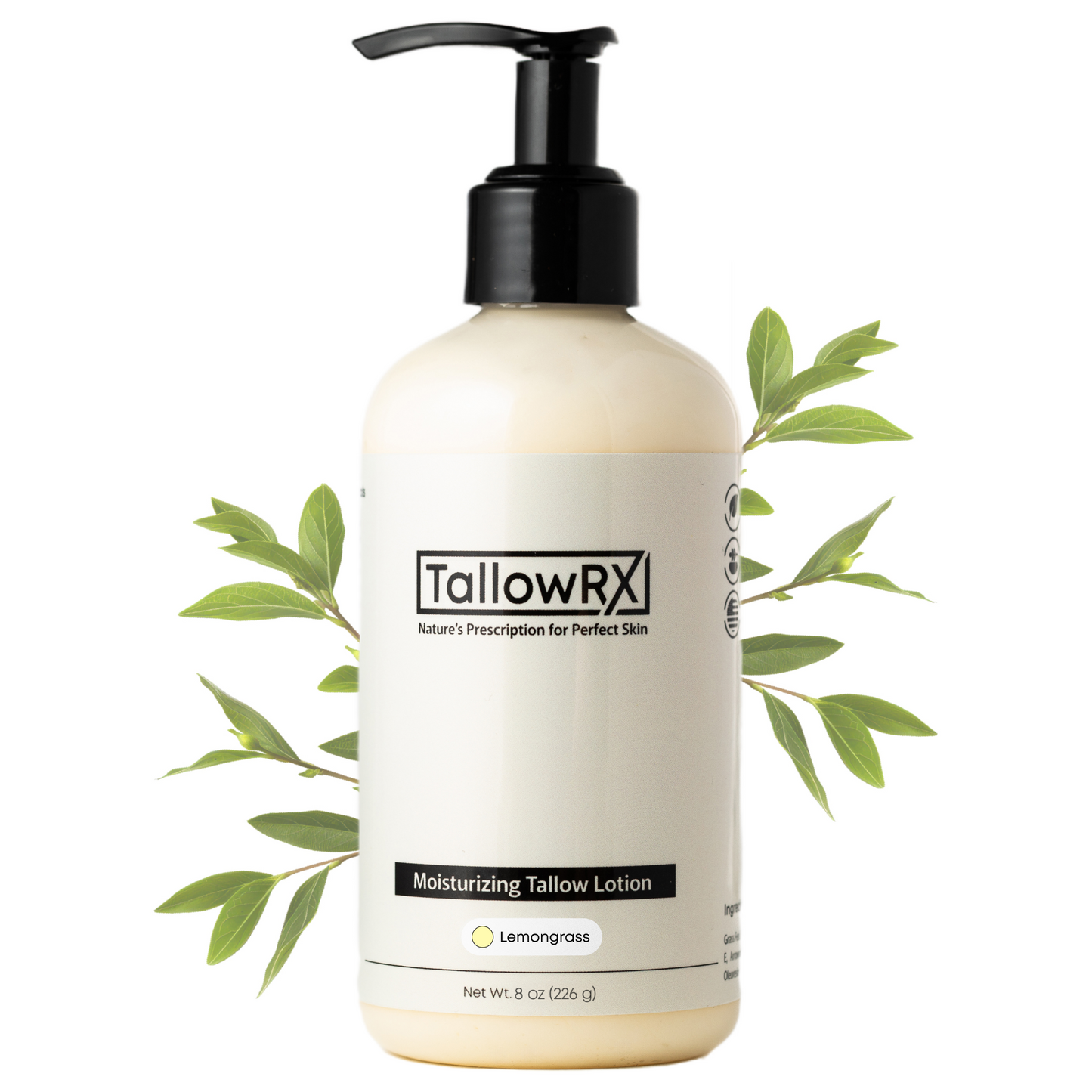 Tallow Lotion - 8 oz